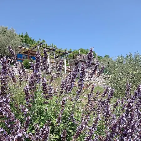 Casa Delle Olive Casa de Férias Mošćenička Draga
