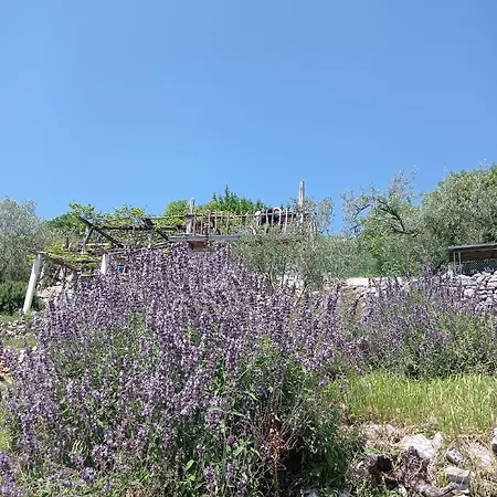 Casa Delle Olive Casa de Férias Mošćenička Draga