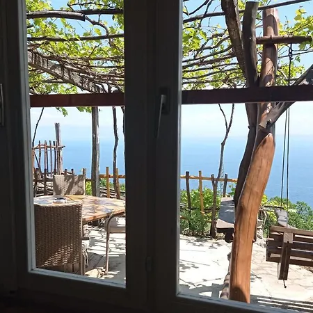 Casa Delle Olive Casa vacanze