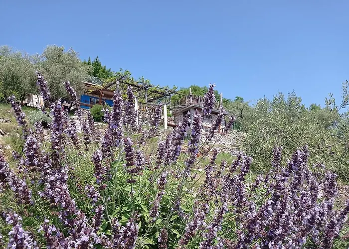 Casa Delle Olive Casa vacanze Mošćenička Draga