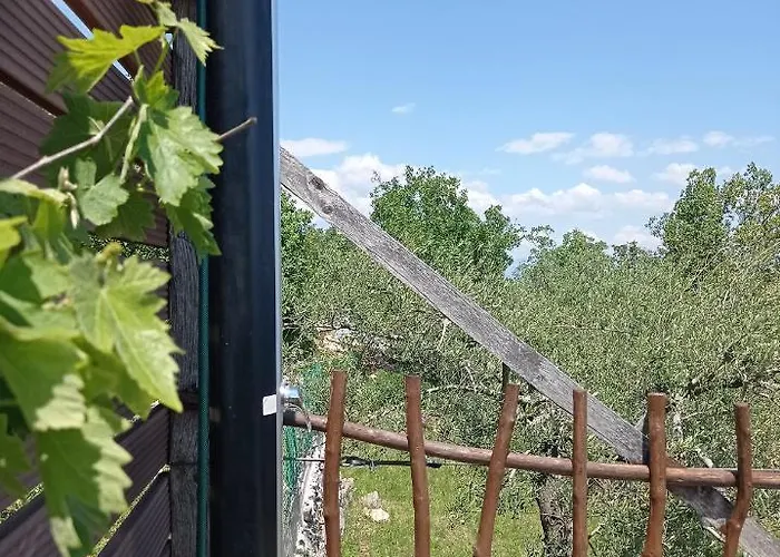 Casa Delle Olive Casa vacanze