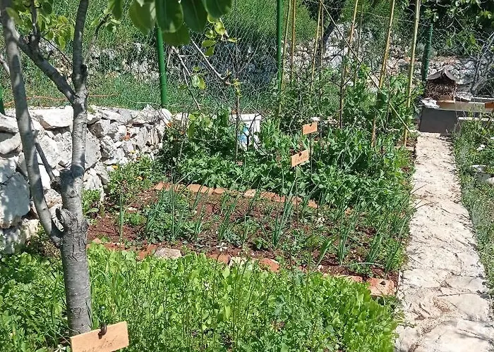 Casa vacanze Casa Delle Olive *