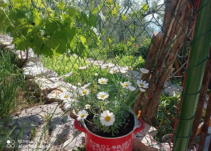 Casa Delle Olive * Mošćenička Draga