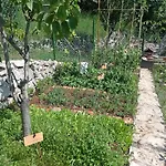 Tatil Evi Casa Delle Olive *