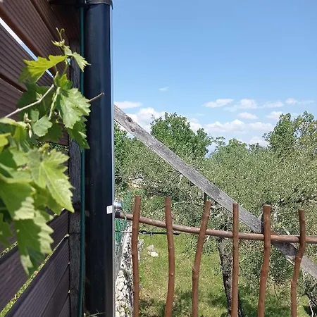 Casa Delle Olive Holiday home