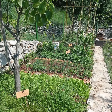 בית נופש Casa Delle Olive *