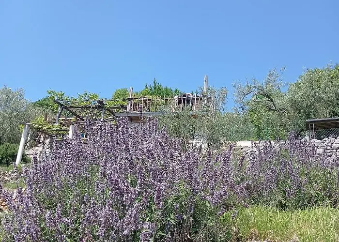 Casa Delle Olive Σπίτι διακοπών Mošćenička Draga
